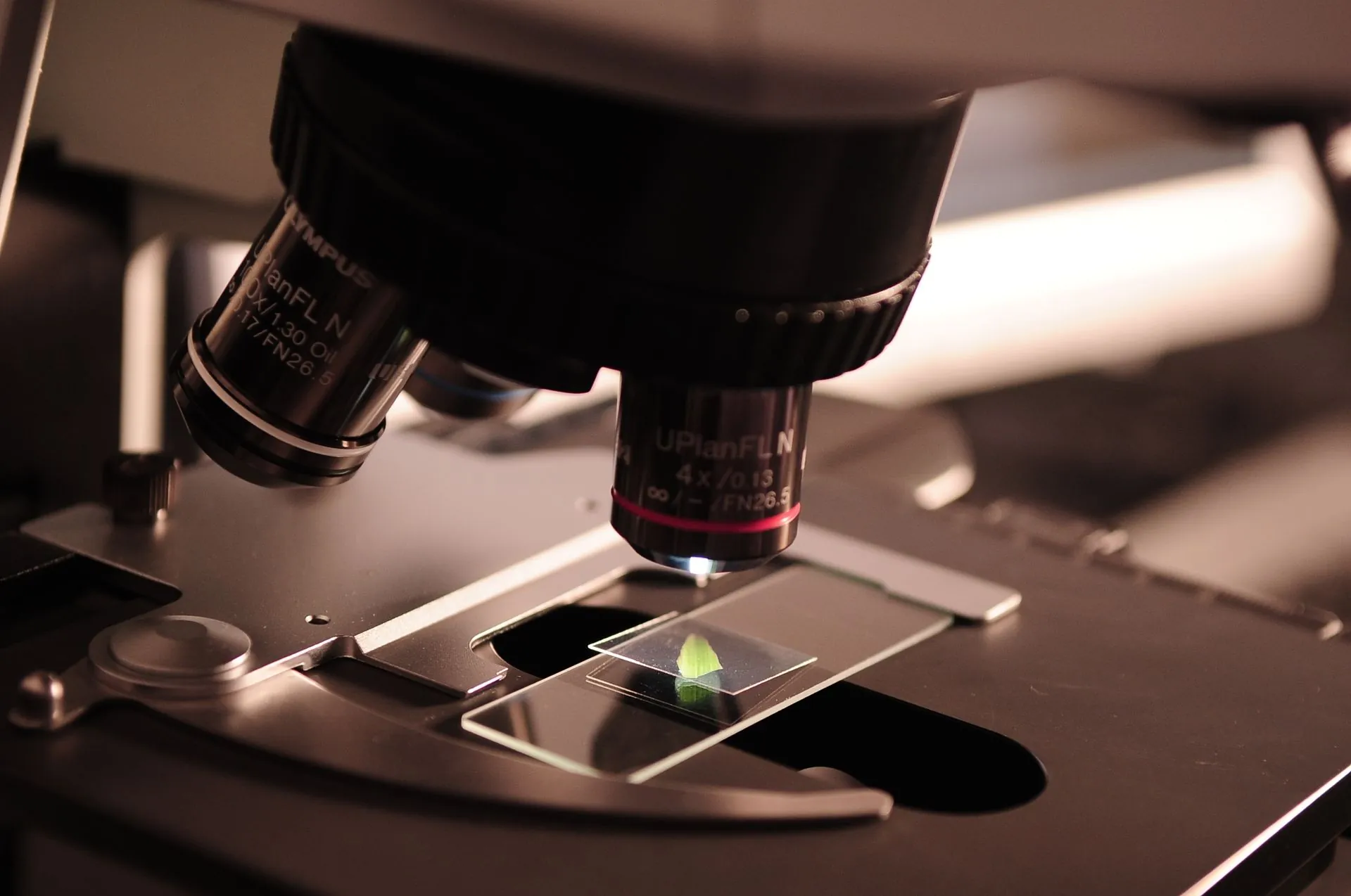 23. Micro and Nano Technologies for Sustainable Development