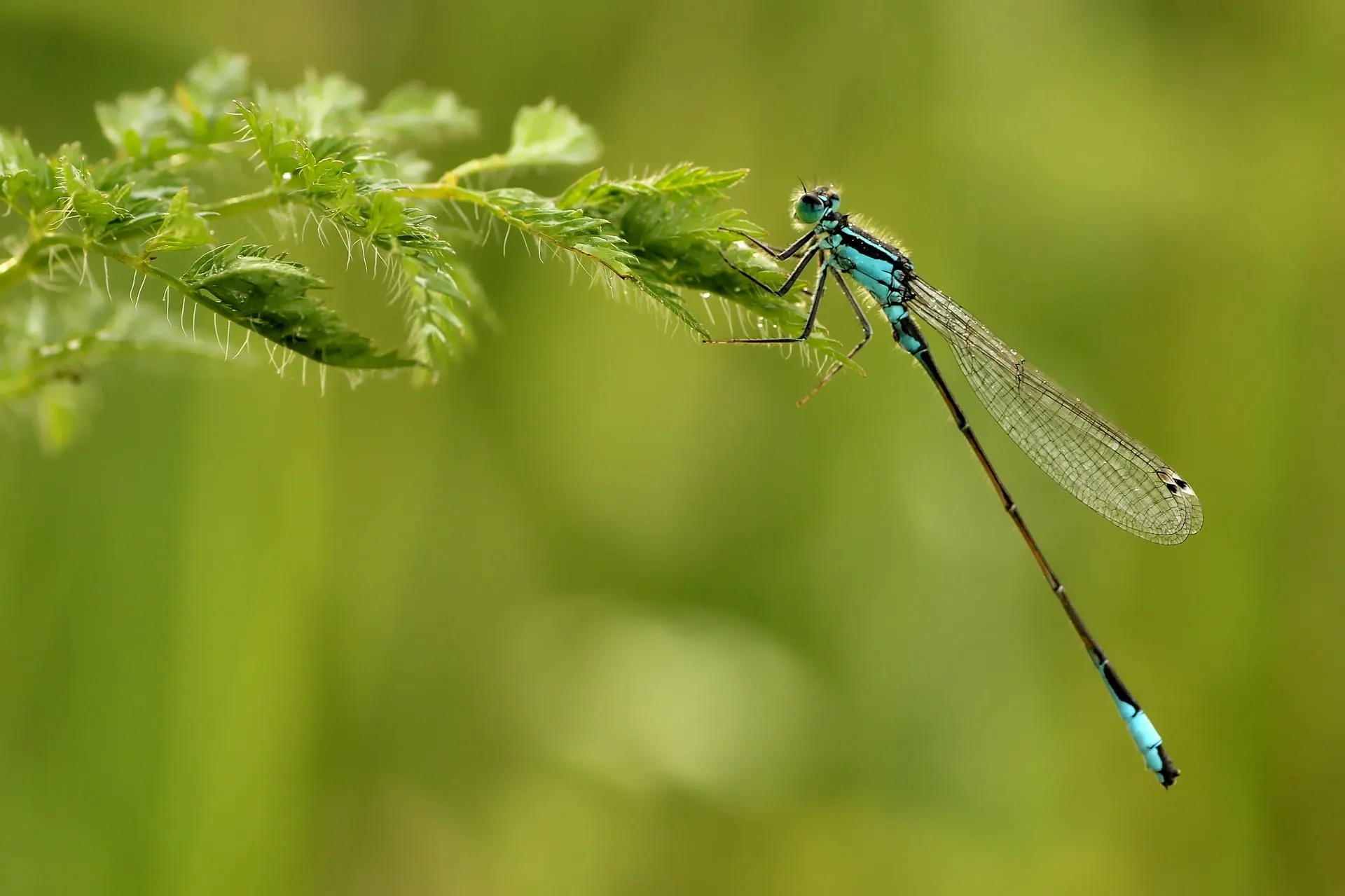 19. Ecology, Biodiversity, and Environmental Protection
