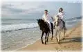 Horse riding on the Albena beach
