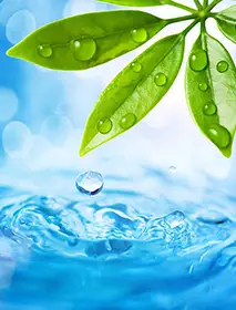 WATER RESOURCES, FOREST, MARINE, AND OCEAN ECOSYSTEMS