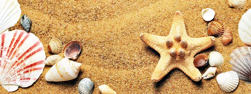 Sea, sand, tranquility